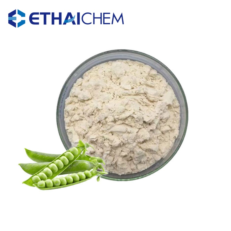 OEM ODM Premium Organic Pea Protein Powder for Plant-Based Nutrition Muscle Recovery and Daily Wellness Support