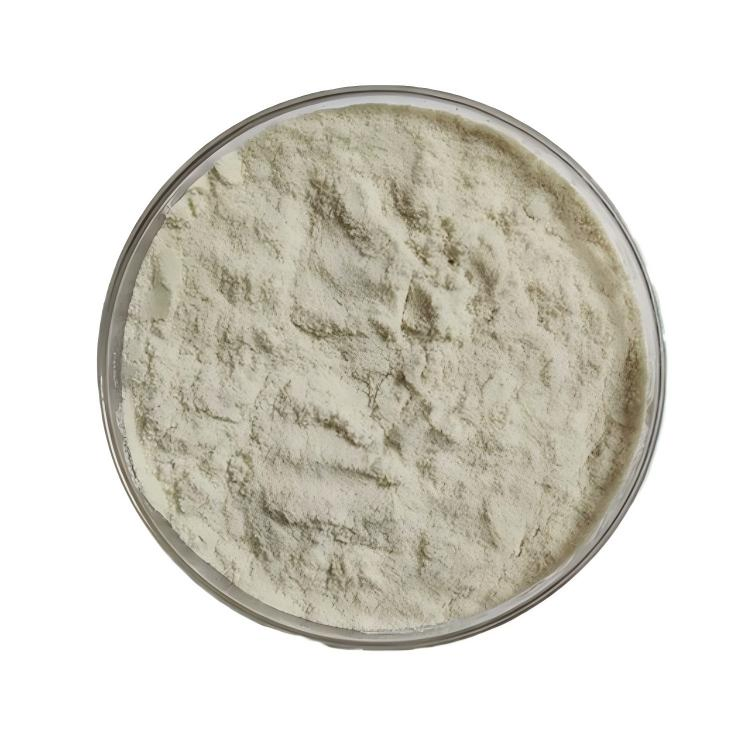Soy Protein Isolate - Food Feed Nutrient Enhancer - Plant Protein Thickener