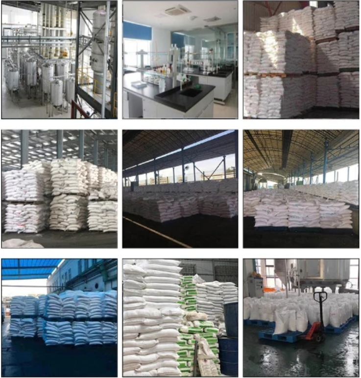 China High Quality Hydrolyzed Oat Flour Health Wheat Germ Oil&Hydrolyzed Oat Protein