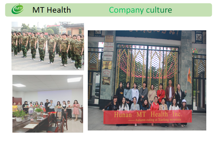 Company overview