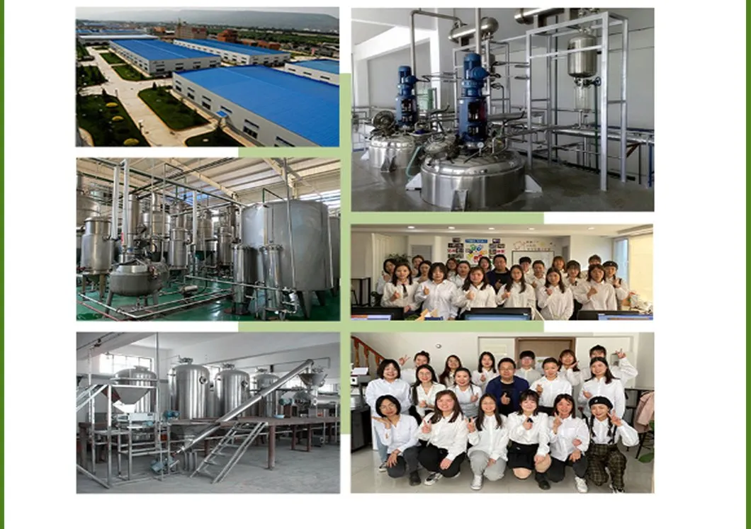 Supply Food/Cosmetic Grade Hydrolyzed Oat Protein Powder