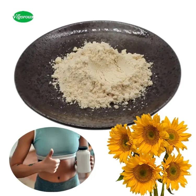 Plant Based Protein Powder for Good Health for Vegans Sunflower Protein Powder