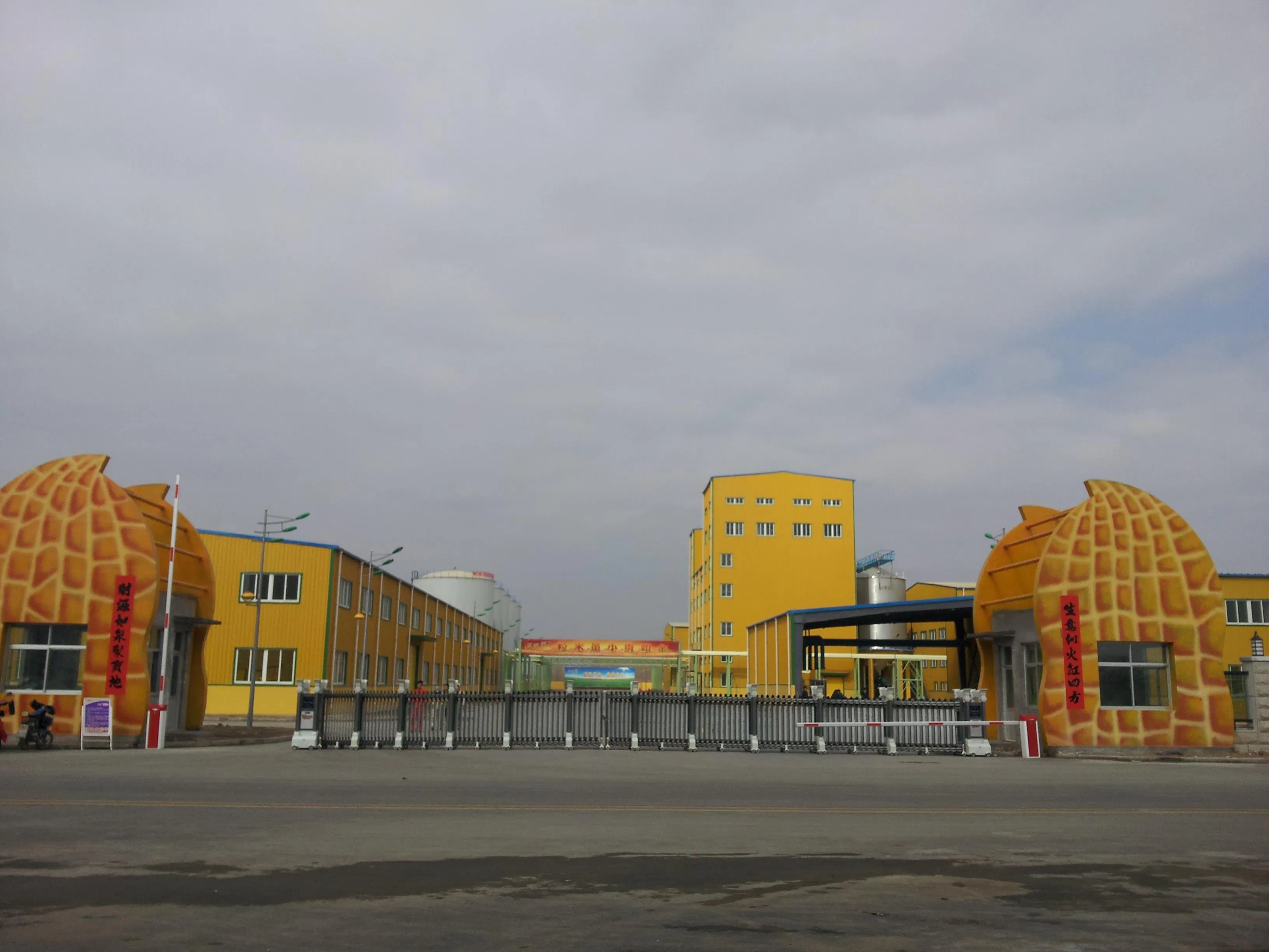 Hot Selling Canola Seed Oil Pressing Turnkey Project