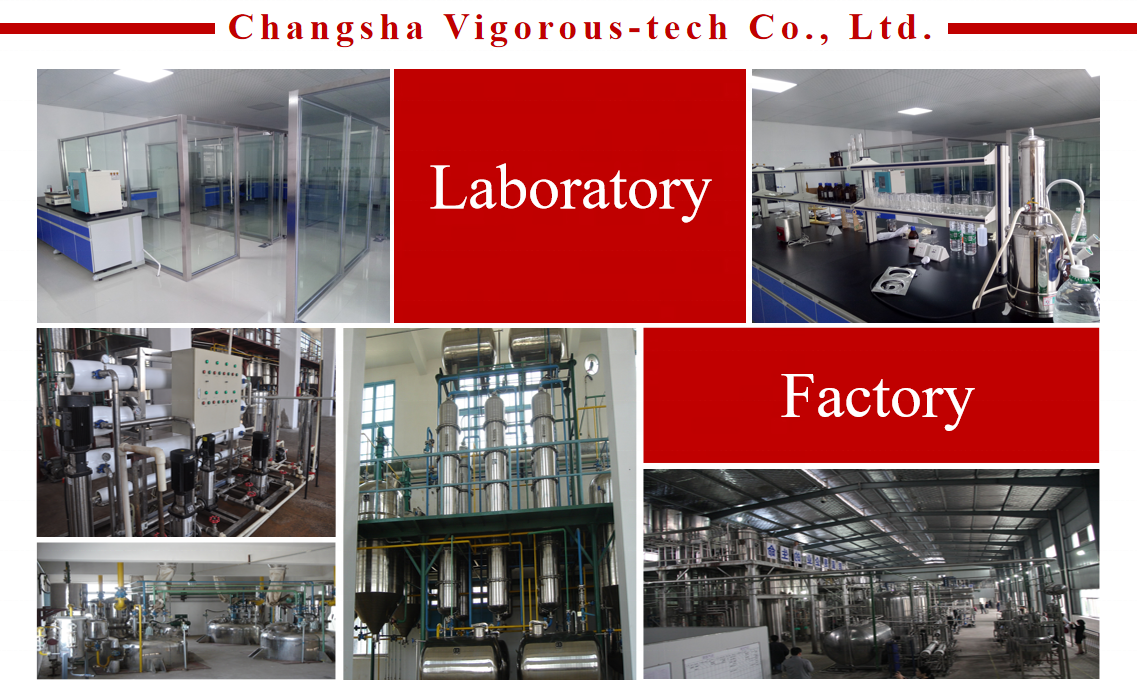 Free Samples Bulk High Quality Factory Supply Food Grade 60% Cucurbita Pepo Pumpkin Seed Protein Powder