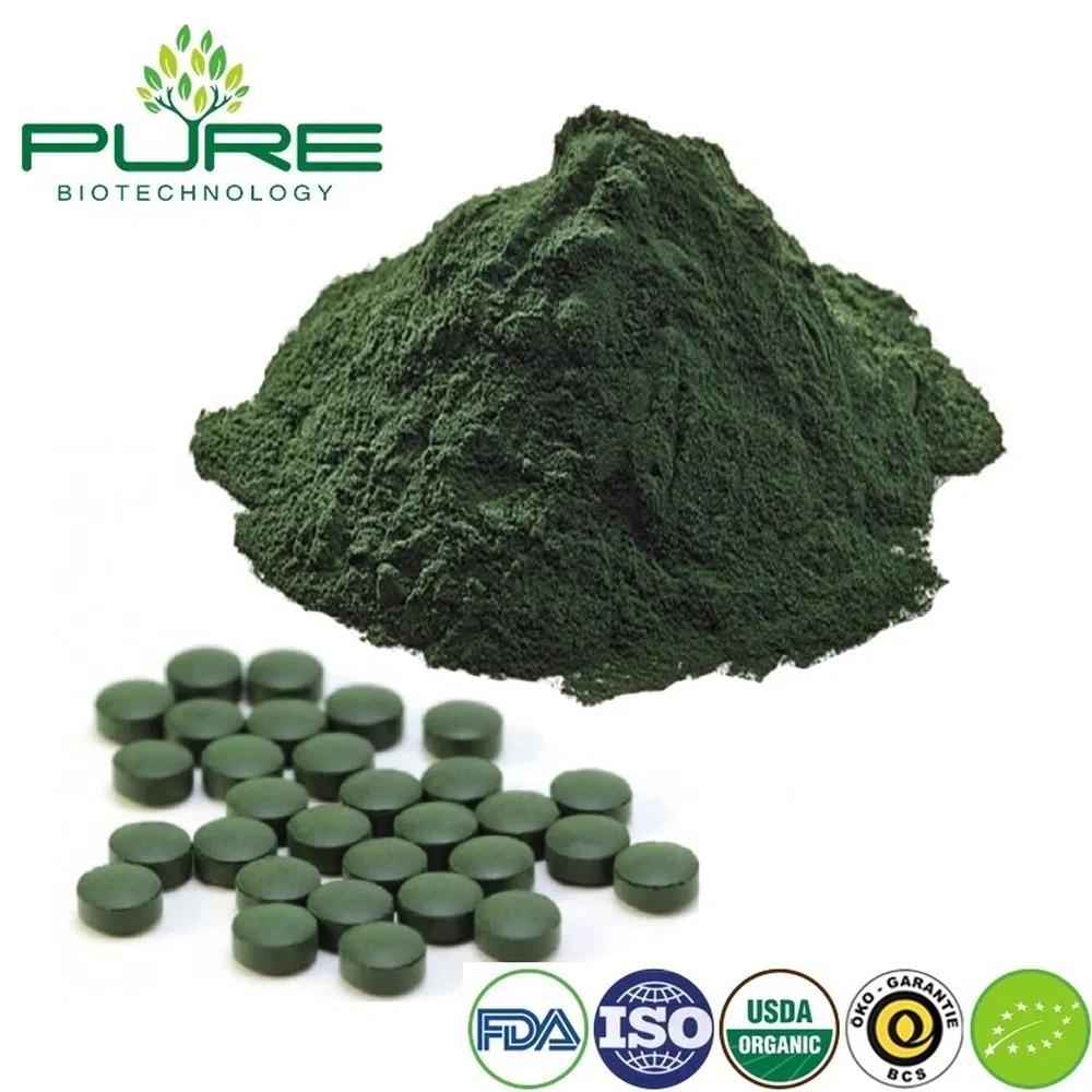 Organic Vegan Blue Green Algae Protein Powder for Natural Energy