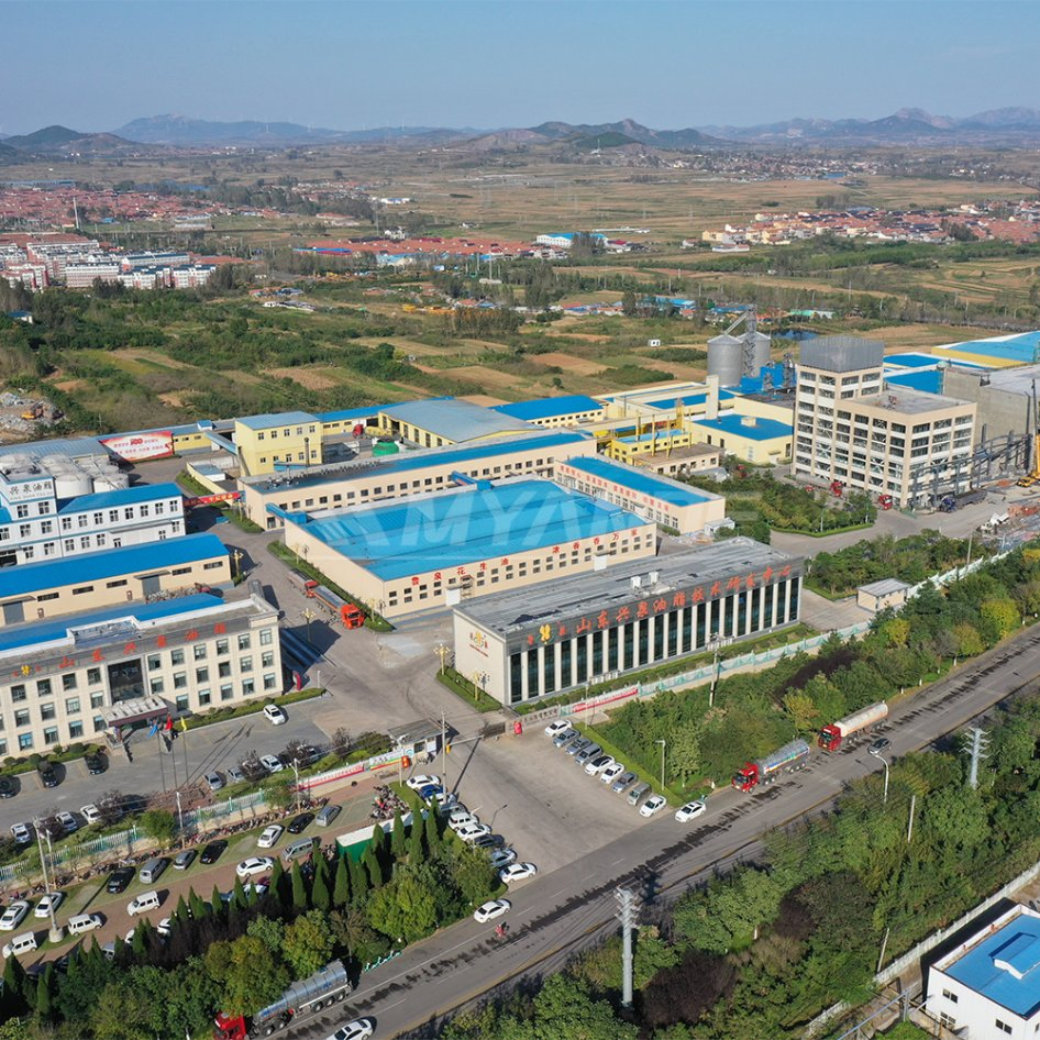 Oil Flaker, Cooking Oil Pretreatment Machine, Soybean, Canola, Peanut Oil Machine