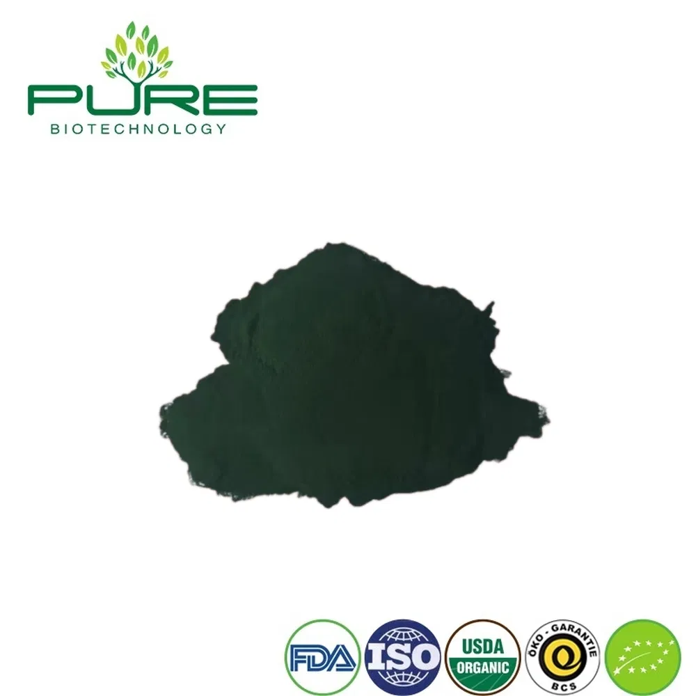 Premium Organic Spirulina Protein Powder for Green Smoothies