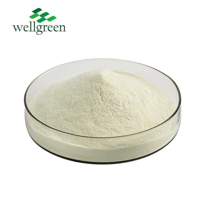 Hot Selling Plant Protein Mung Bean Protein Powder 90% Isolate Powder for Dietary Supplement