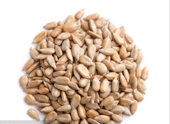 Organic sunflower seed protein powder