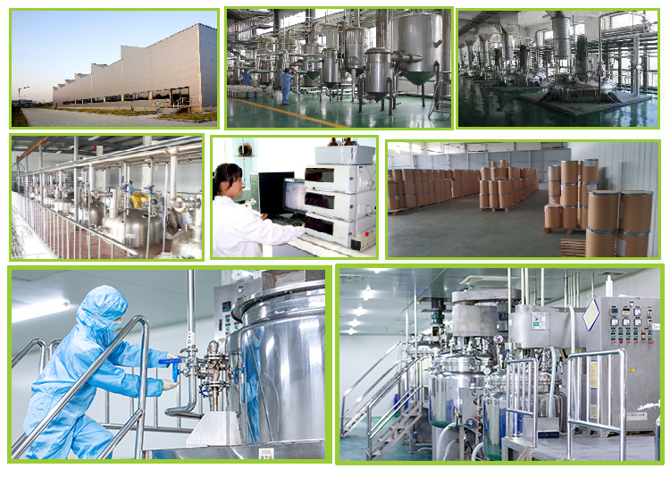 Refining processing warehouse