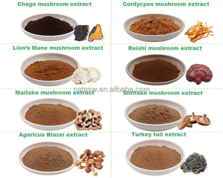 Health Food Supplement Mung Bean Peptide Protein Powder