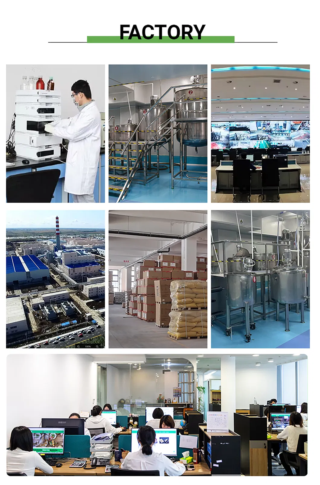 Dietary Supplement Factory Price Pea Protein Dietary Supplement