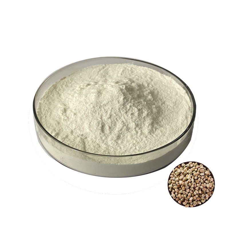 Hemp Protein Extract Sample View 1