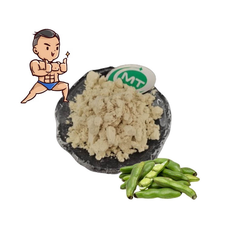 High Quality Faba/ Fava Bean Protein Powder Natural 90% Protein Horsebean Protein Powder/ Broad Bean Protein Powder for Fitness