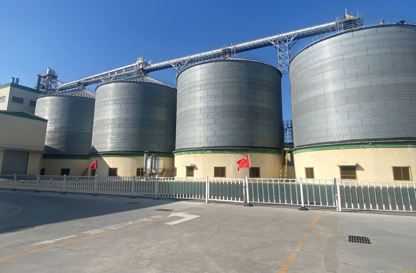 Premium Soy Protein Concentrate for Optimal Fermentation Benefits