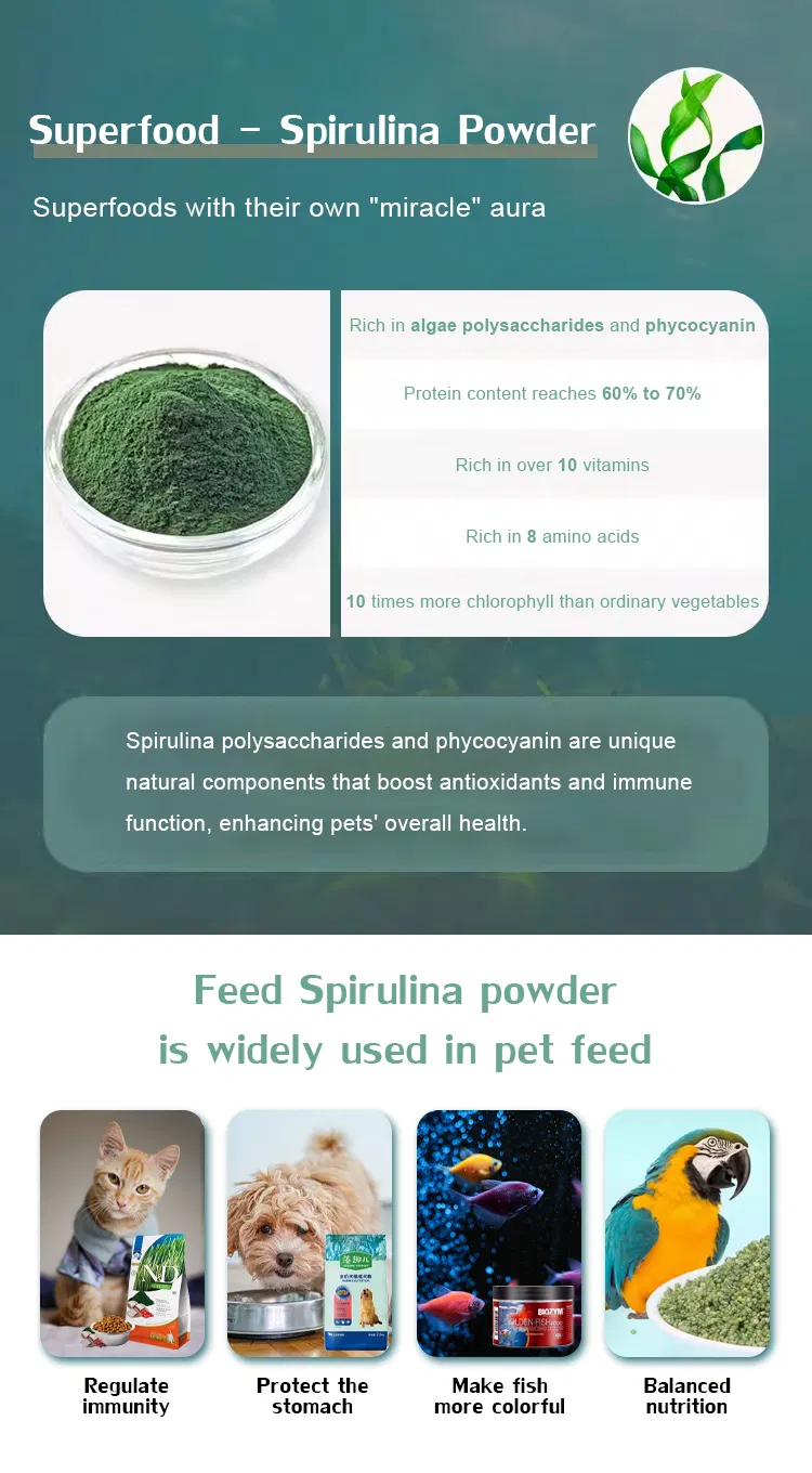 Feed Grade Natural High-Protein Spirulina Algae Powder for Fish, Pet