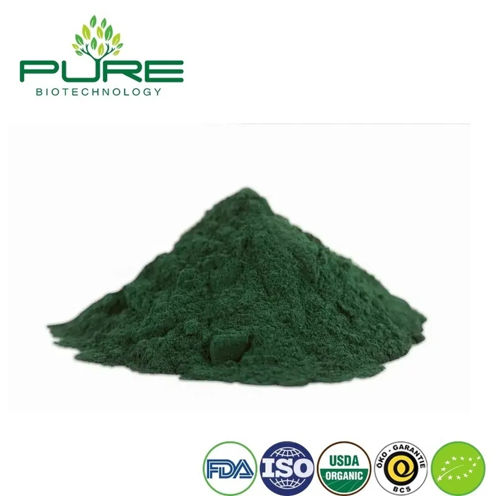 Premium Organic Spirulina Protein Powder for Vegan Health