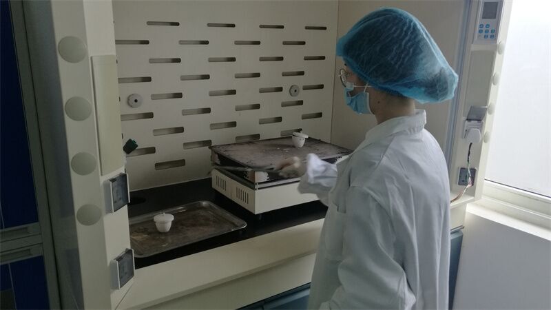Production Lines