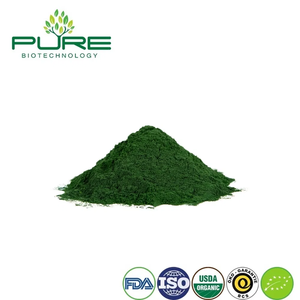 Sustainable Blue Green Algae Protein for Healthy Energy Bars