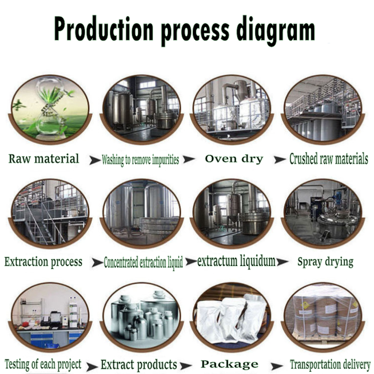 Factory Supply 100% Natural Food Grade Pumpkin Seed Peptide Powder 99% Small Molecule Active Protein Peptide Powder