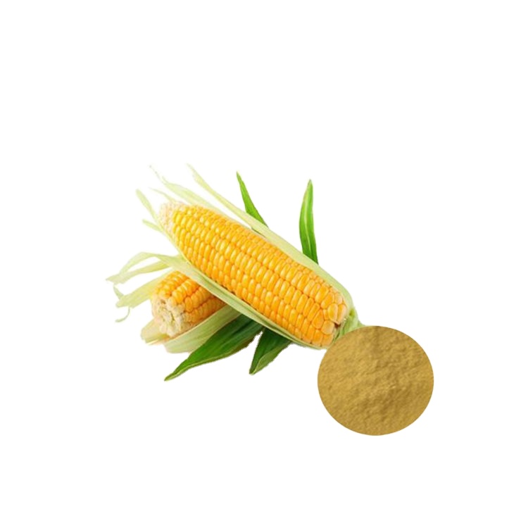 B.C.I Supply Wholesale Bulk Price Zein Maize Corn Protein Food Grade Zein Protein