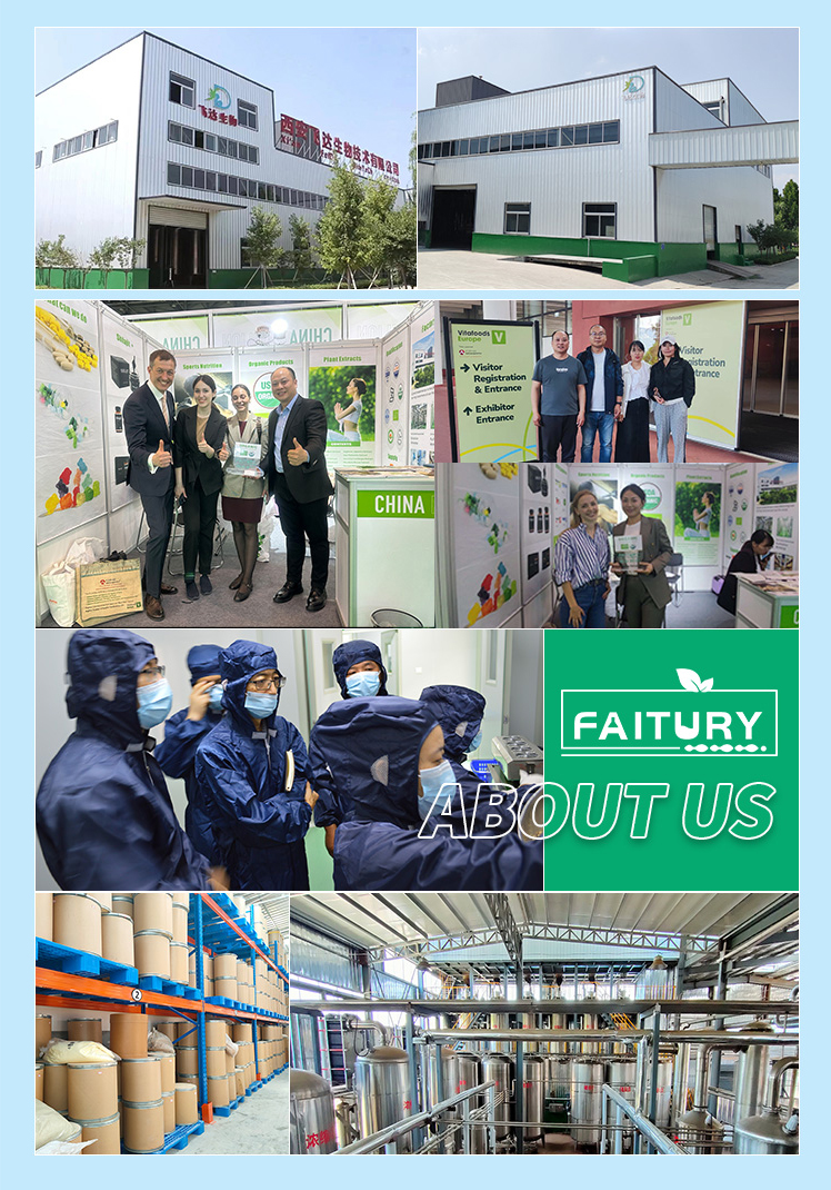 Faitury Wholesale Natural Hemp Seed Extract 50% Hemp Protein Powder