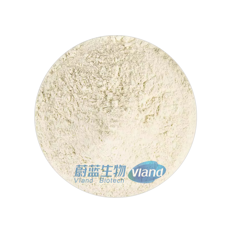 VLAND Nutrition Enhancers Isolated Soya &amp; Pea Protein Powder Thickeners High Quality 80% or 85% min Good Price CAS 9010-10-0