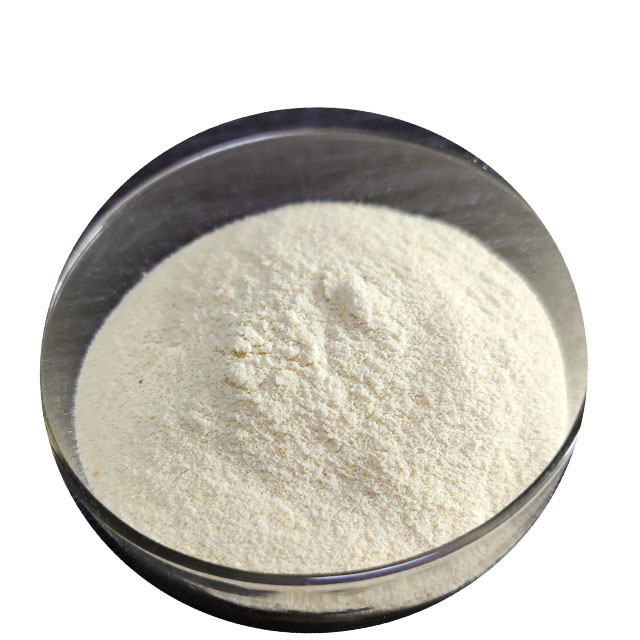 Wheat Protein Product Details