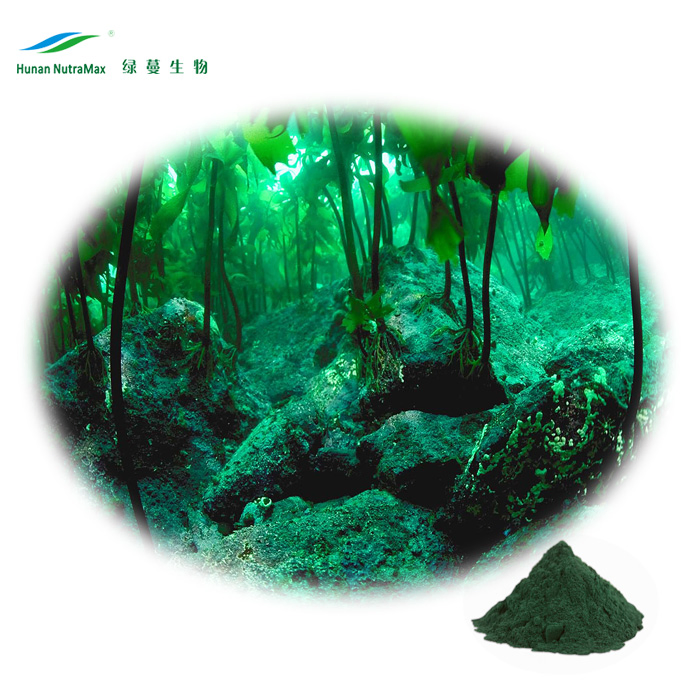 Factory Supply 55% Min Protein Spirulina Alga Chlorella Powder
