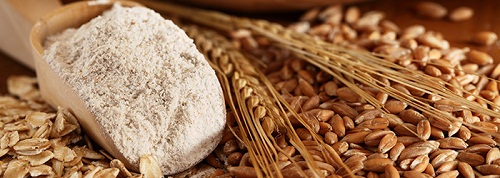 Wheat Protein Supplement