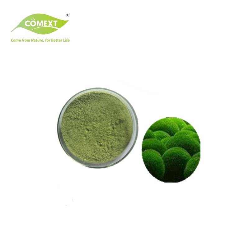 Comext Factory Direct Supply Green Algae Chlorella Vulgaris Protein Powder Broken Shell Chlorella Powder