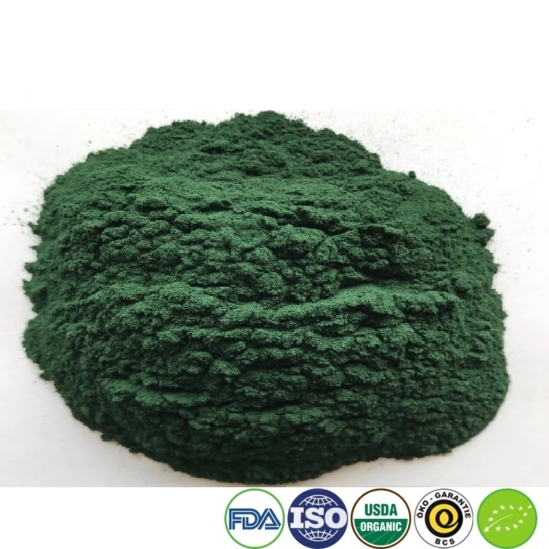 Spirulina Powder Supplier: High Protein Blue Green Algae Superfood