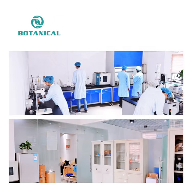B.C.I Supply Wholesale Bulk Price Zein Maize Corn Protein Food Grade Zein Protein