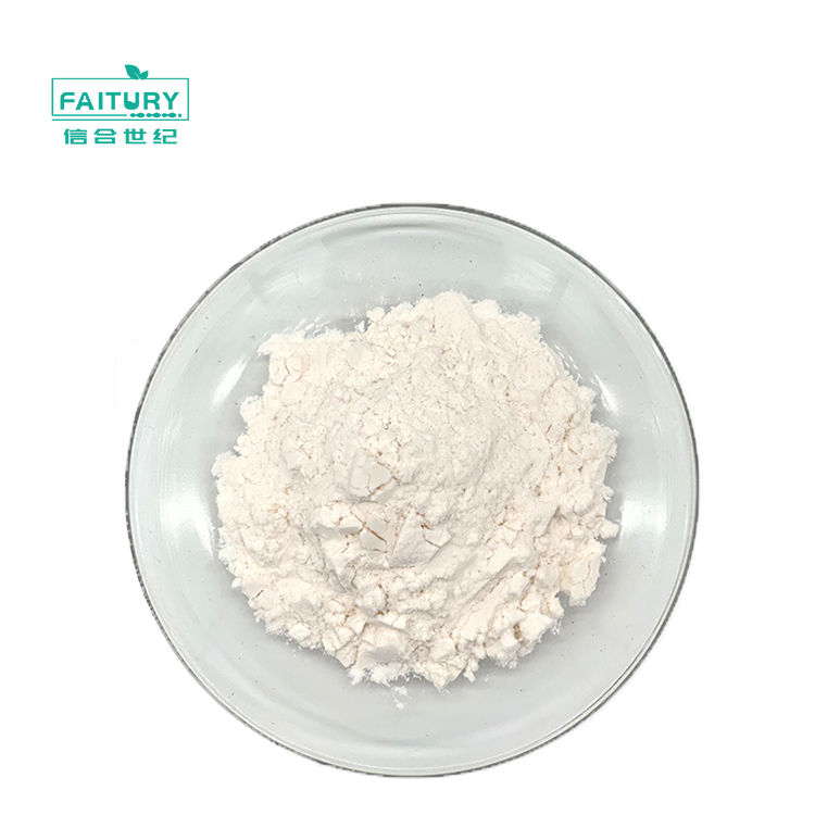 Faitury Wholesale Natural Hemp Seed Extract 50% Hemp Protein Powder