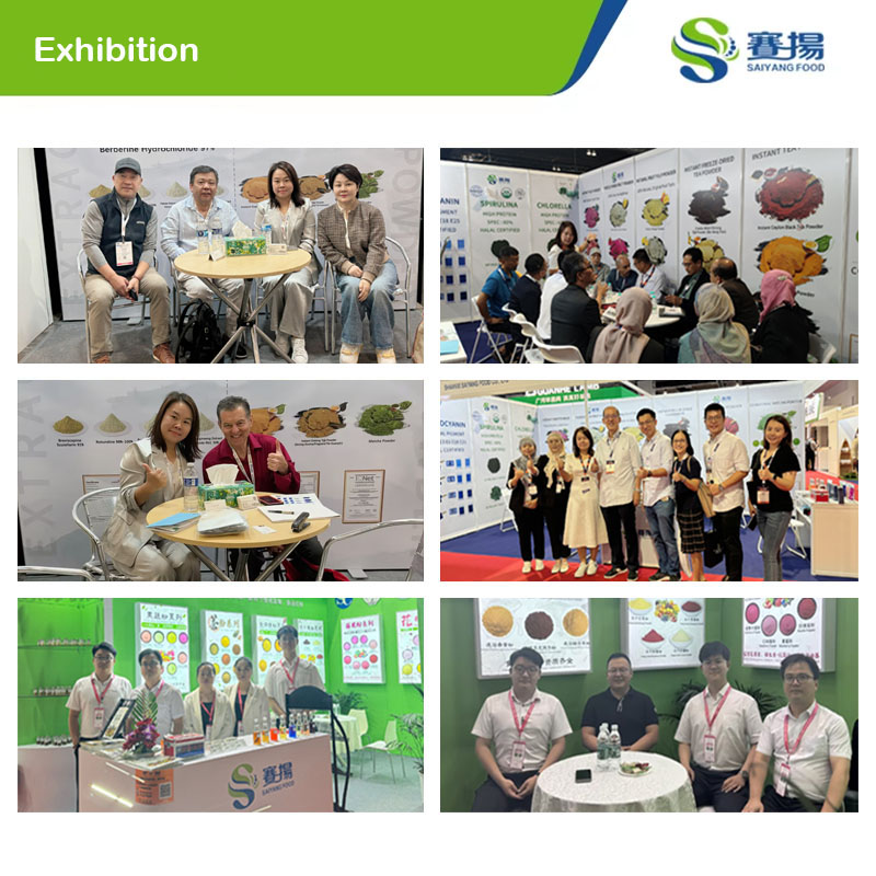 Chickpea Protein Powder Supplement Pure Natural Chick-Pea Protein Extract Bulk Price Food Grade Chickpea Powder