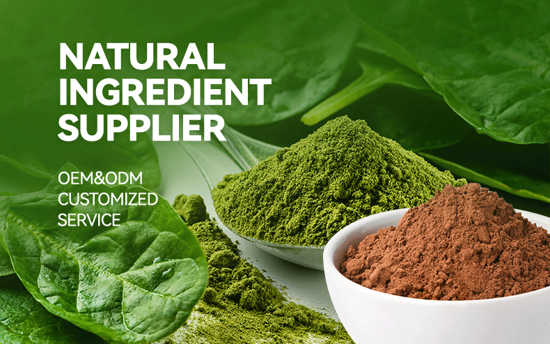Chickpea Protein Powder Banner
