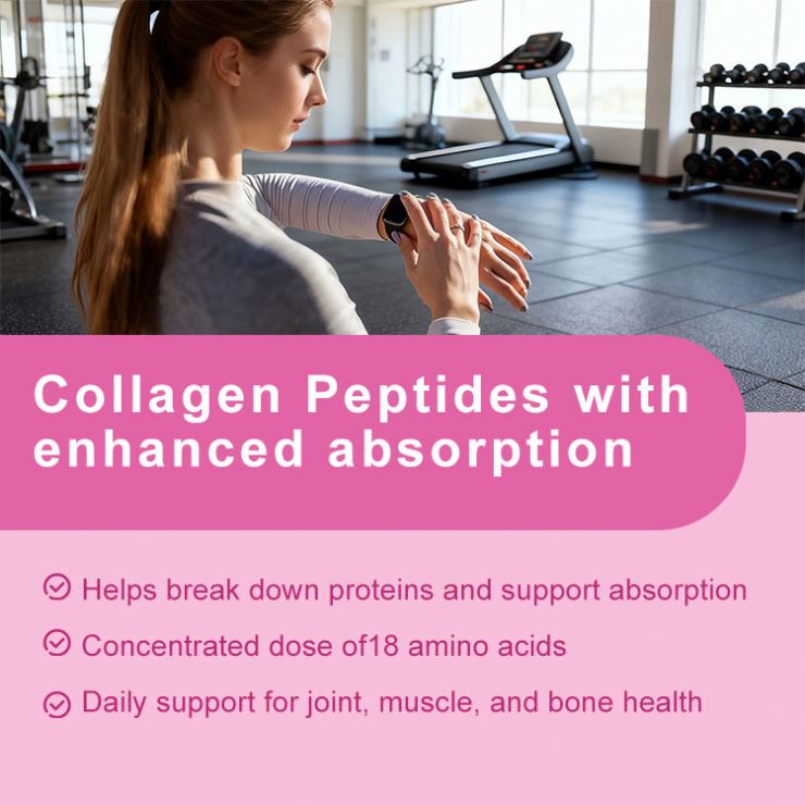 Private Label Collagen Peptides Powder Super Hydrolyzed Protein Powder Absorption For Skin Beauty And Whitening