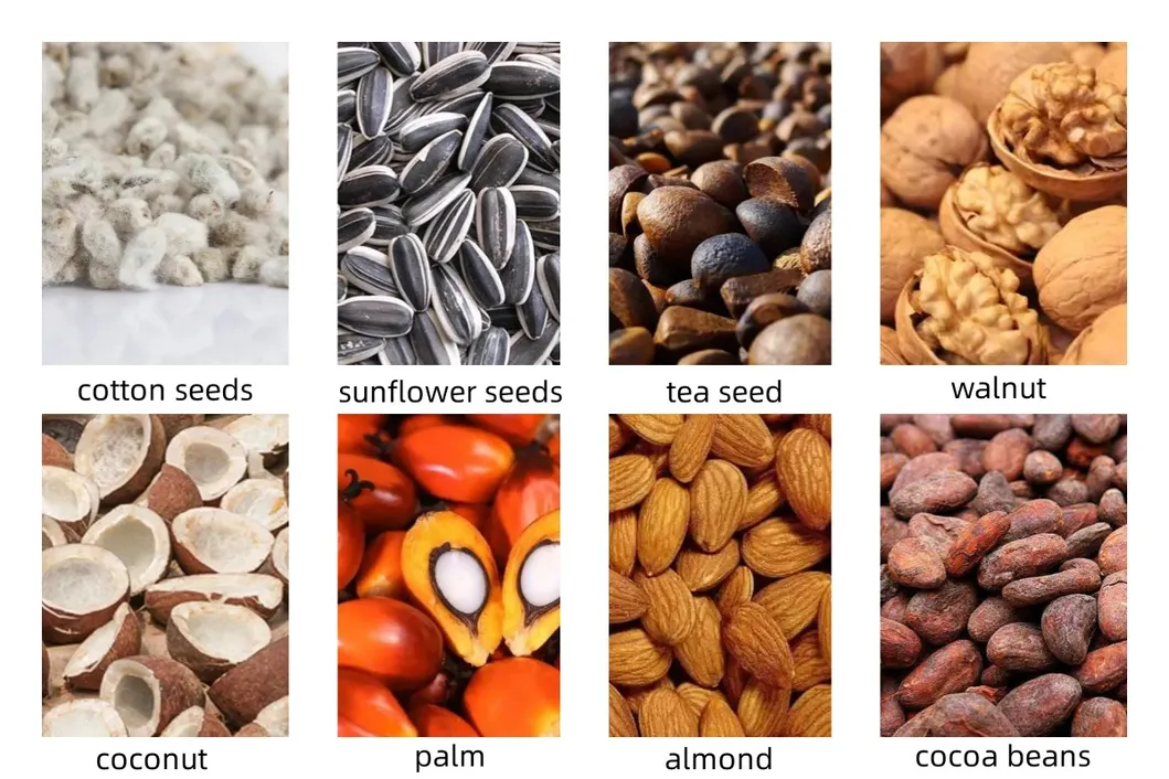Applicable Oil Material Seeds and Crops