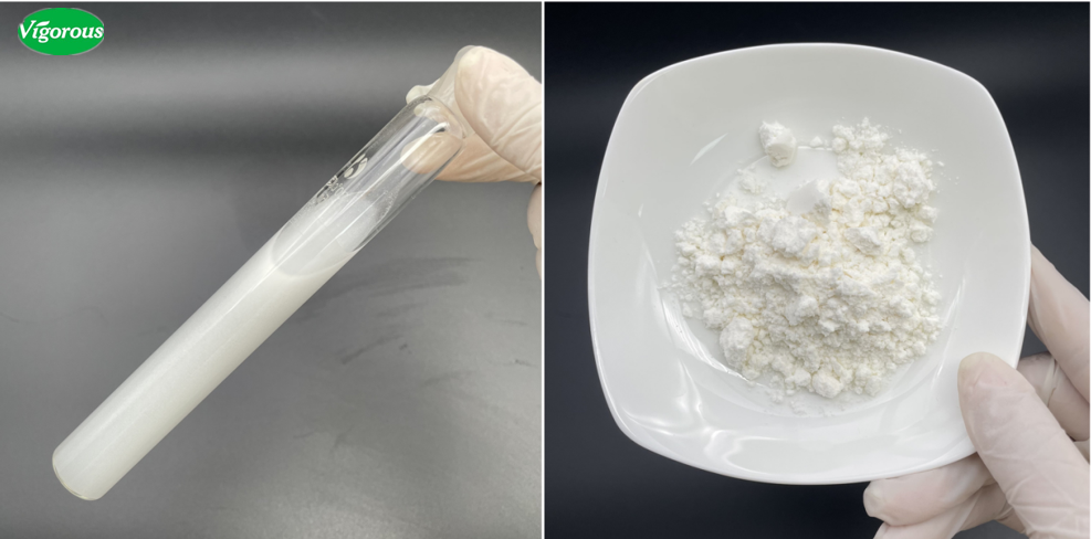 Organic Food Grade And Cosmetics Grade Hydrolyzed Rice Protein Powder