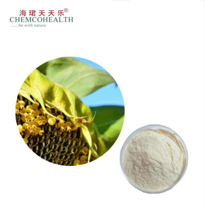 Lowering Cholesterol, Anti-Aging, and Regulating Metabolism Sunflower Oil Powder