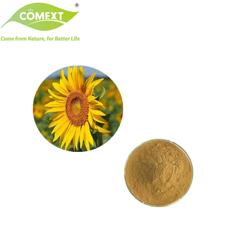 Comext 100% Natural Free Sample 10%~30% Sunflower Disk Alkaloid 10: 1 Sunflower Disk Extract /Sunflower Protein Powder