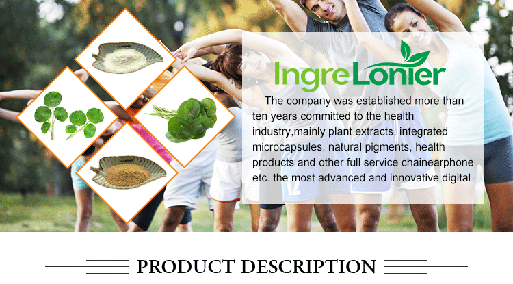 Pumpkin Seed Extract Banner