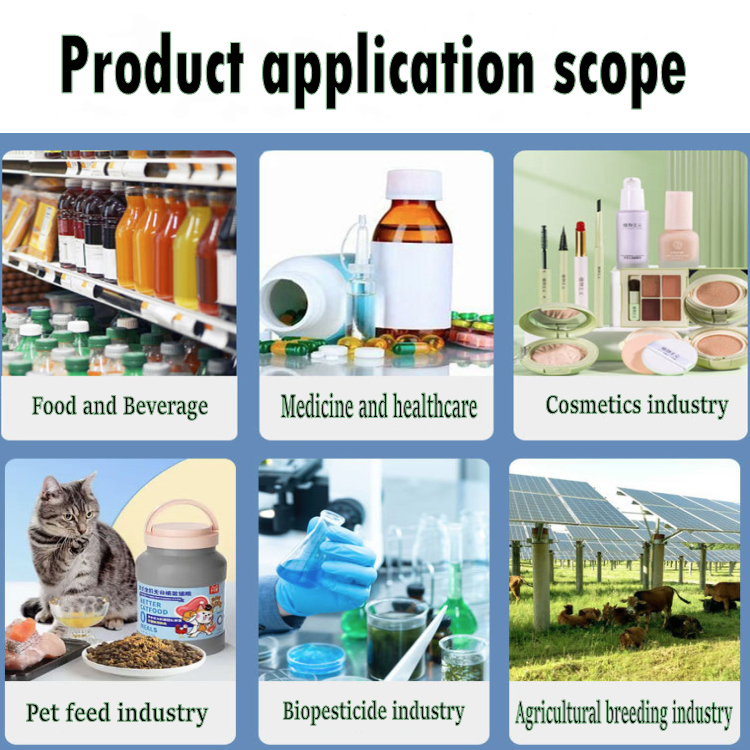 Factory Supply 100% Natural Food Grade Pumpkin Seed Peptide Powder 99% Small Molecule Active Protein Peptide Powder