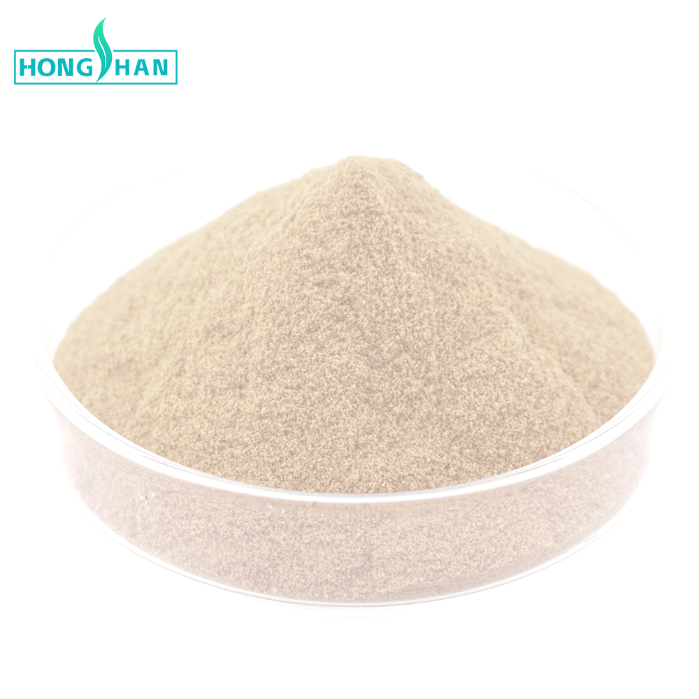 Food Grade Organic Chickpea Protein 80% Chickpea Protein Powder Chickpea Powder