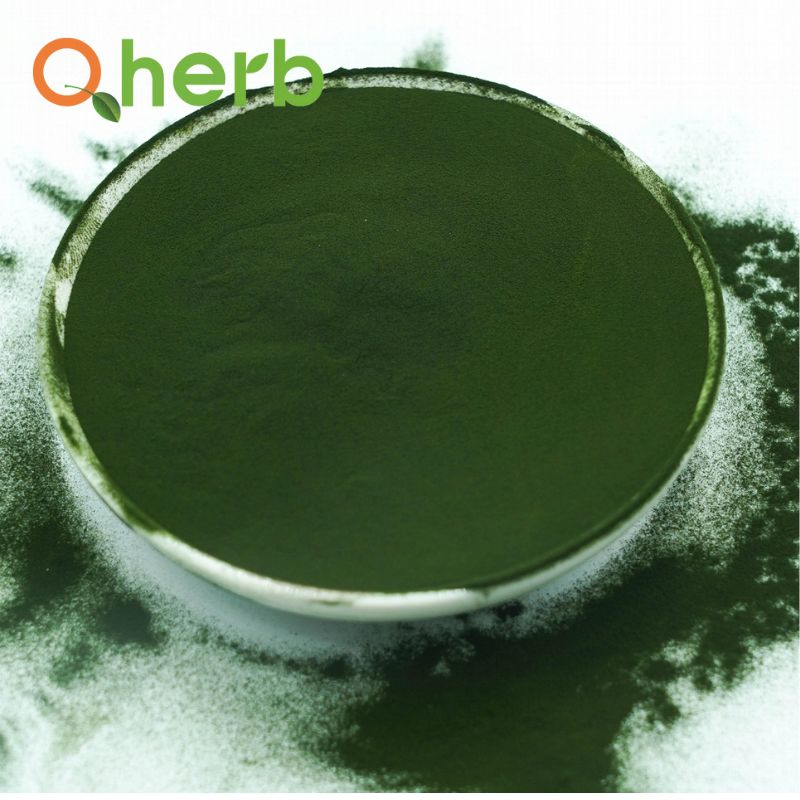 Food Feed Grade Natural Nutrition Supplement Fine Green Spirulina Protein Algae Powder