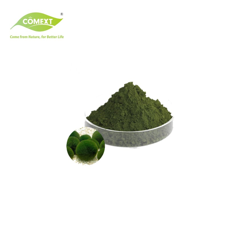 Comext Factory Direct Supply Green Algae Chlorella Vulgaris Protein Powder Broken Shell Chlorella Powder