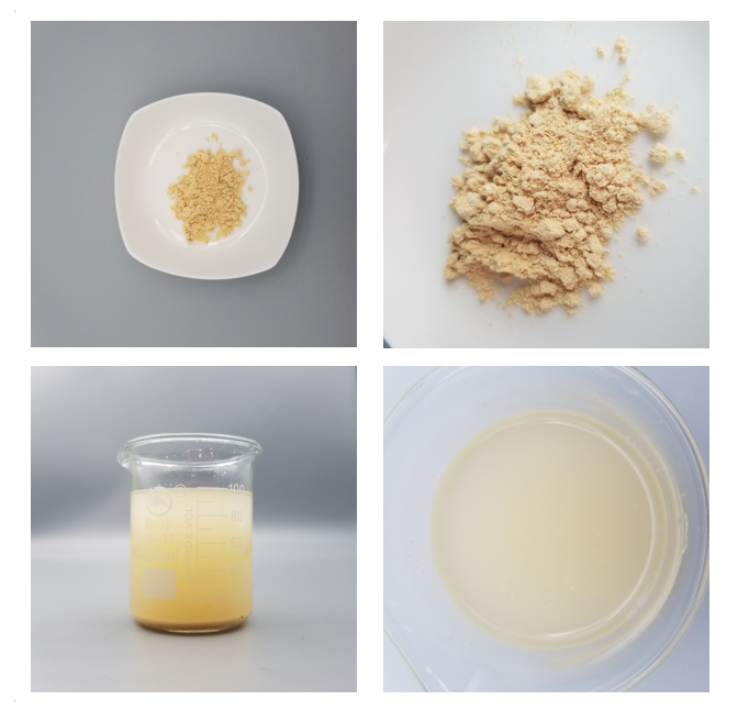 Food Free Samples Organic Vegan 80% Protein Powder Chickpeas Powder Aquafaba Powder for Cooking