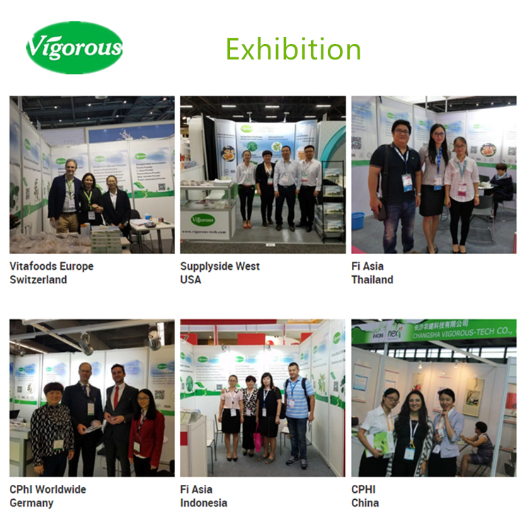 Exhibition Show
