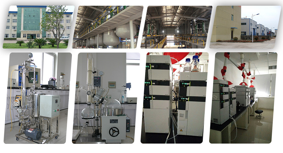 Laboratory Work