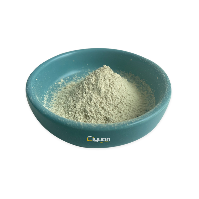 Chickpea Protein Process 1